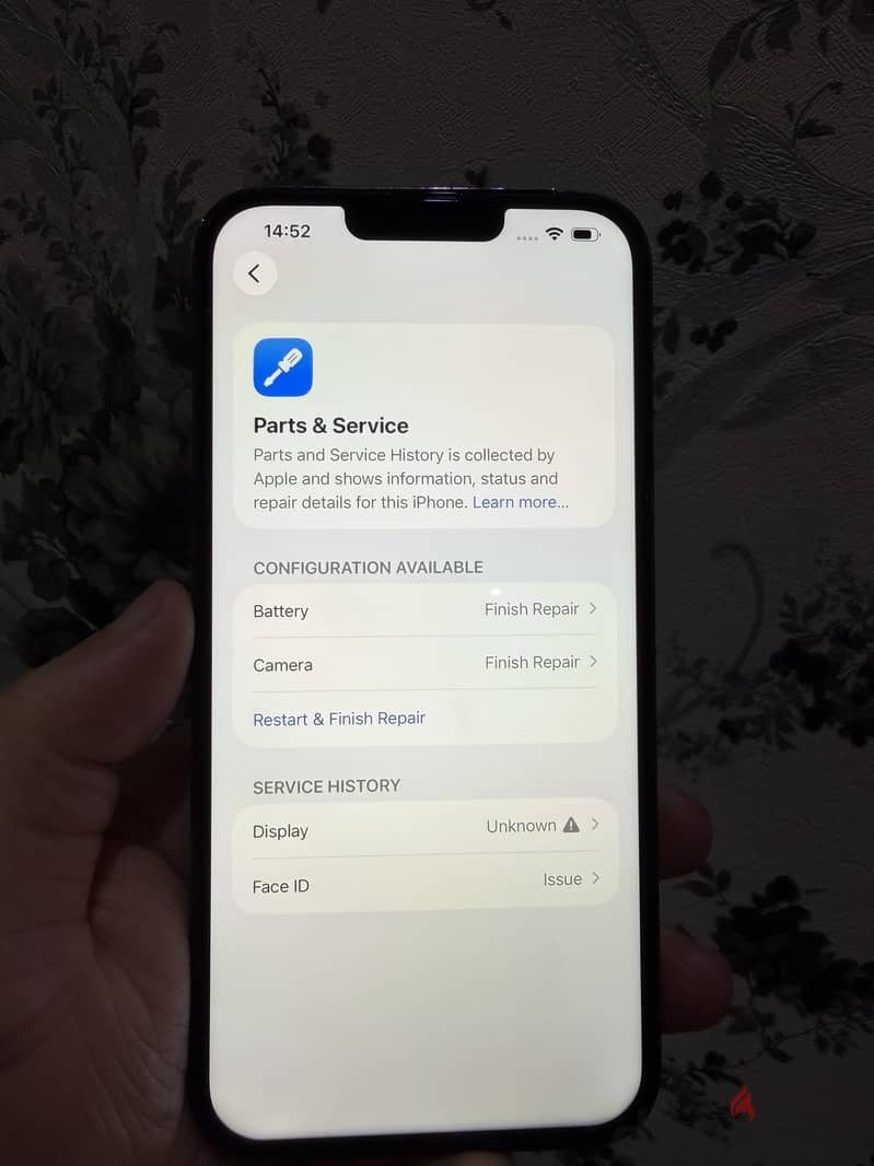 13PM 256GB 100% 4