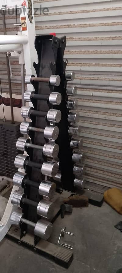 ستاند دنابل من 2kg إلى 10kg