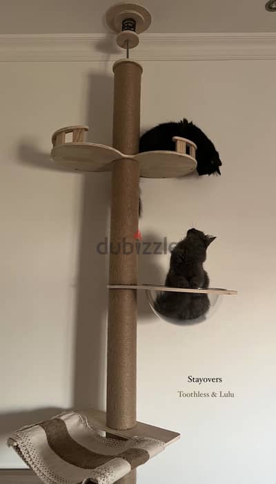 Cat tree