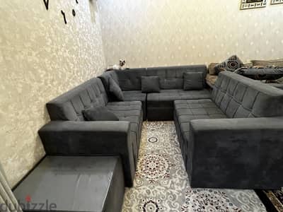 L shape sofa ( ignore the cat )