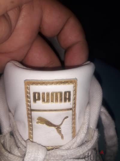 puma For sale