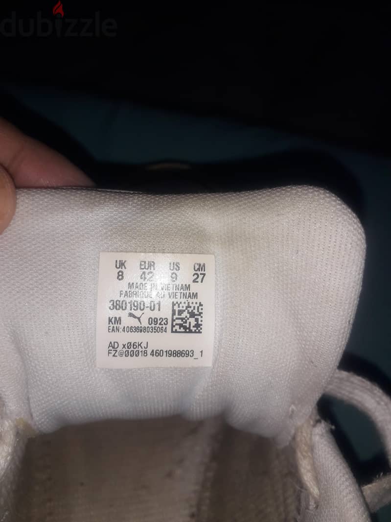puma For sale 2
