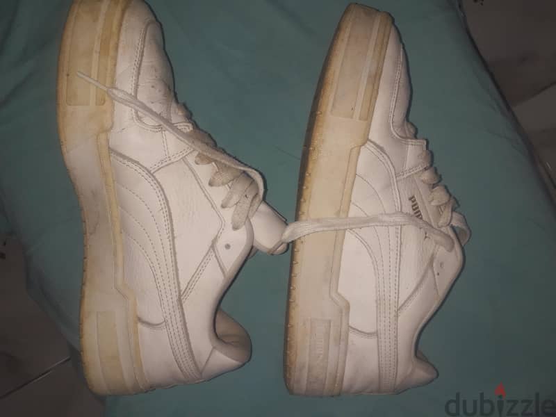 puma For sale 4