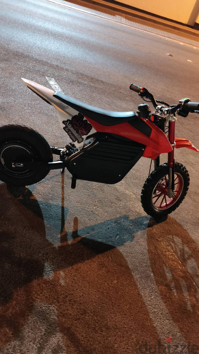ebike electric bike 1