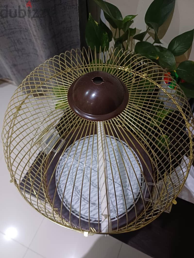 Birds nest for sale 1