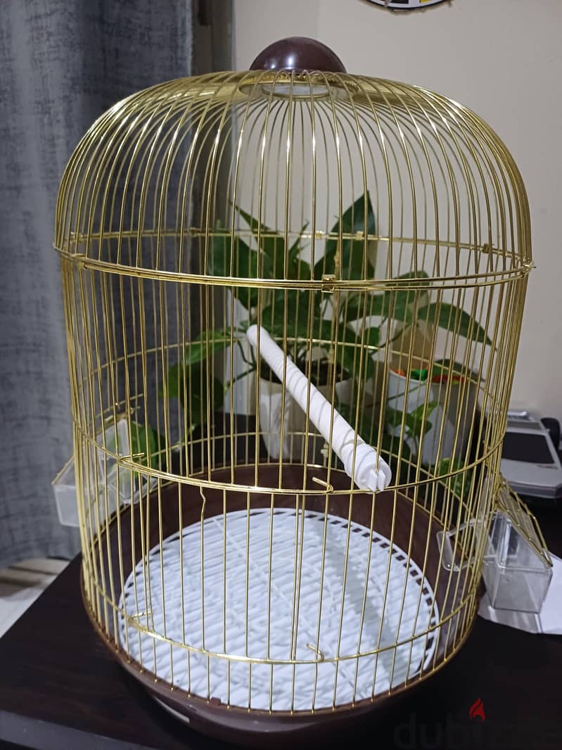 Birds nest for sale 2