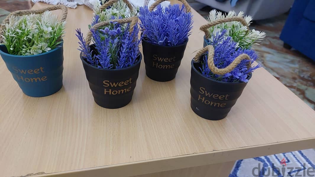 0.5 each 1