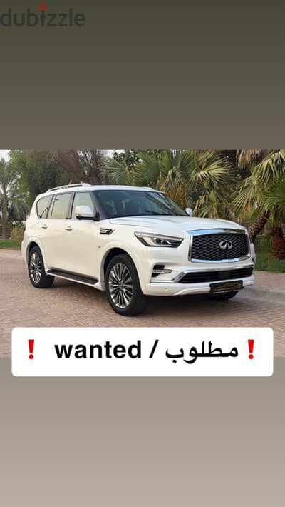 إنفينيتي كيو إكس 80 2019