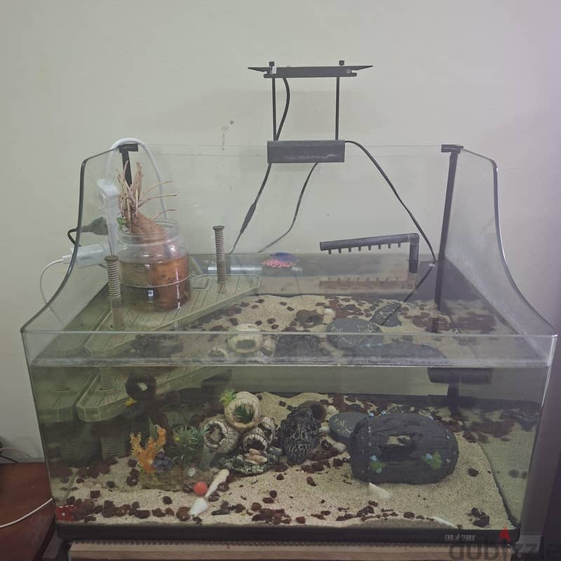 Tortoil tank 1