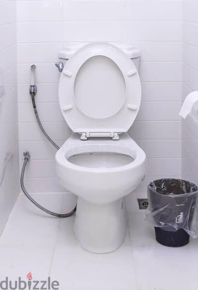 electrician plumber carpenter paint tiles fixing all work maintenance