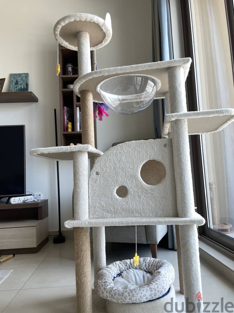 Big Cat tree 1