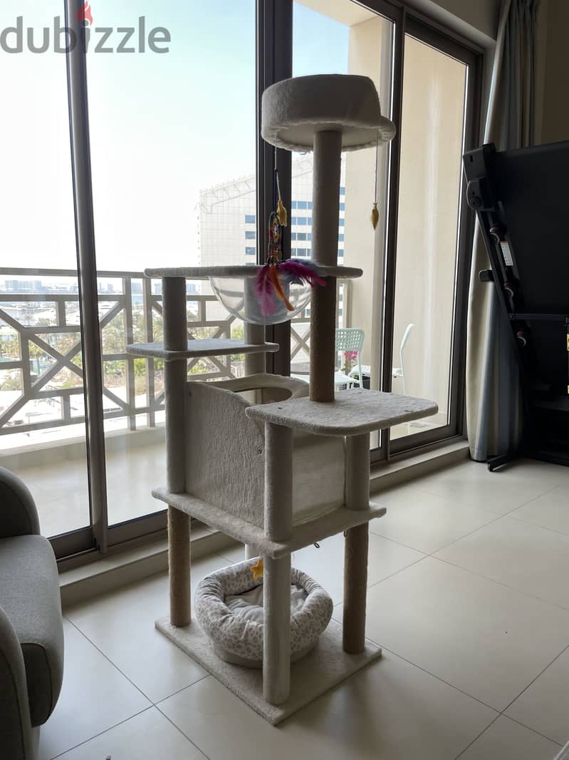 Big Cat tree 3
