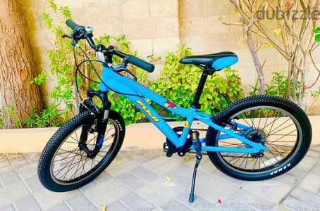 20" Branded MTB (Fuji)
