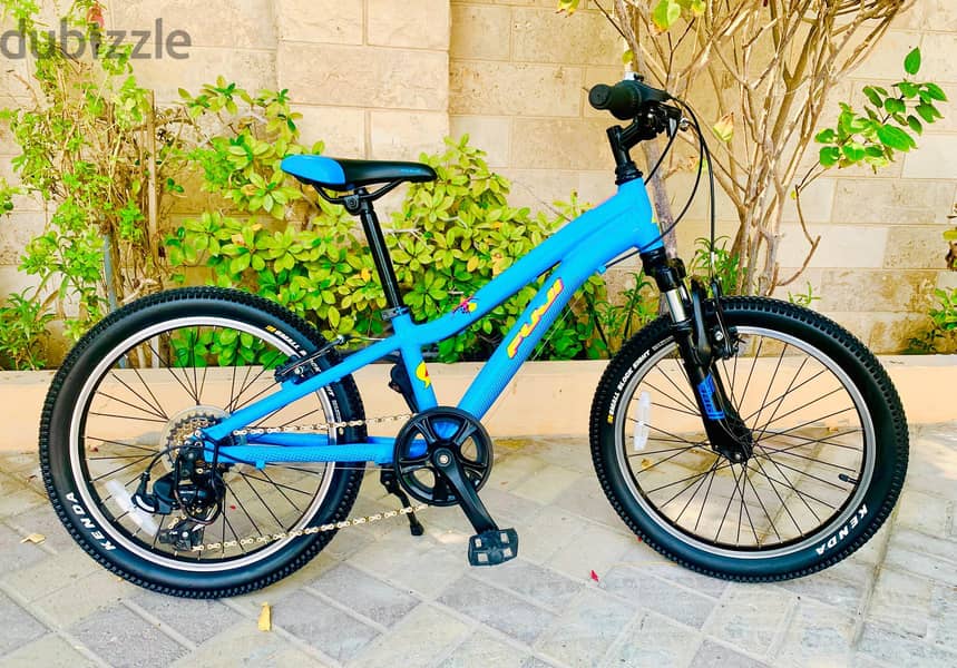 20" Branded MTB (Fuji) 1