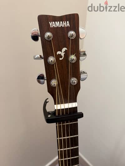 Yamaha FG800 Acoustic Guitar + Free Cover & Capo