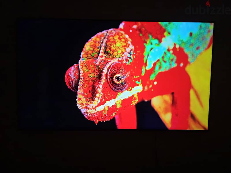 Samsung 65 inch TV 1