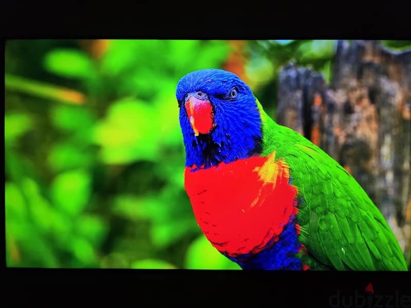 Samsung 65 inch TV 2