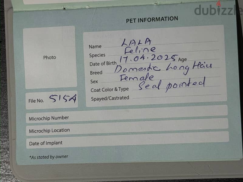 Cat for sale 2