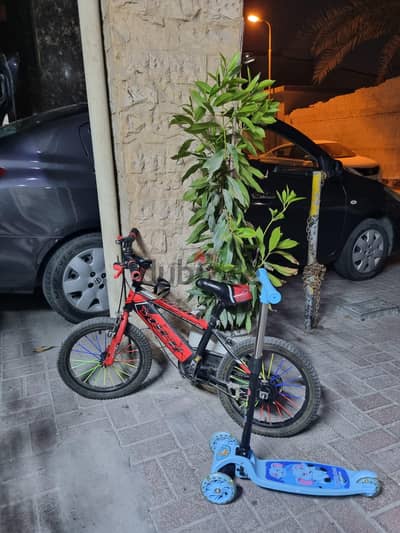 Cycle and scooter