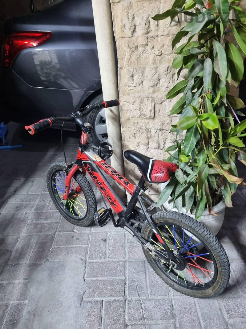 Cycle and scooter 1