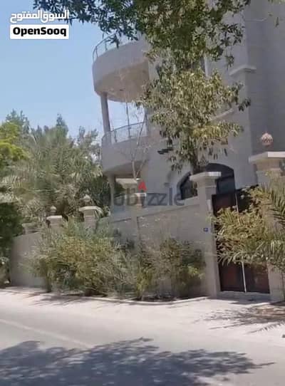Luxury big villa for sale in town