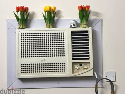 Pearl AC / Zenet