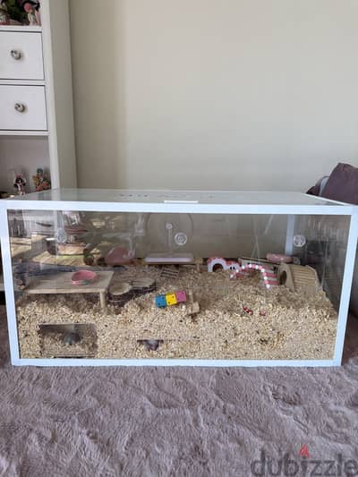 Hamsters+cage+hamster’s supplies.