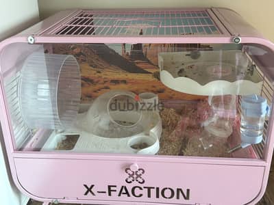 2 hamsters + cage