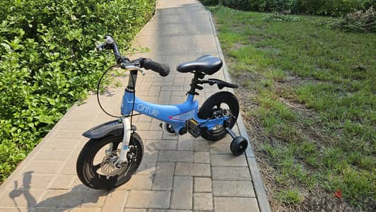 3 to 6 year old child  bicycle