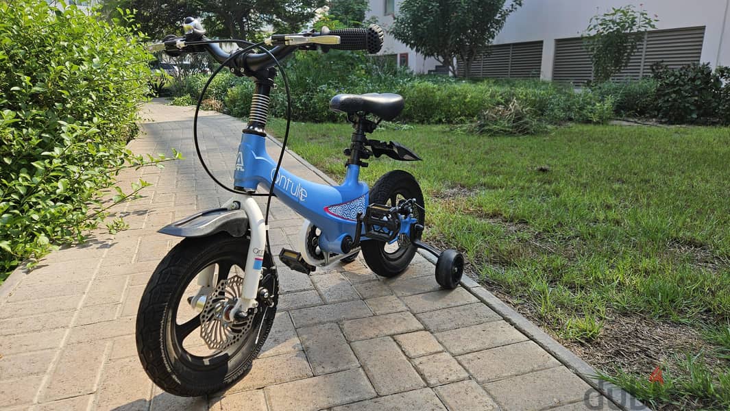 3 to 6 year old child  bicycle 1