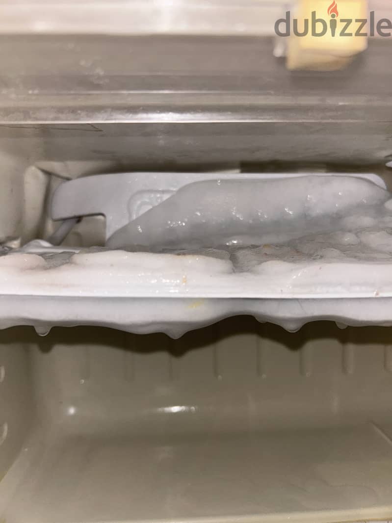 Samsung mini fridge with small built in freezer 5