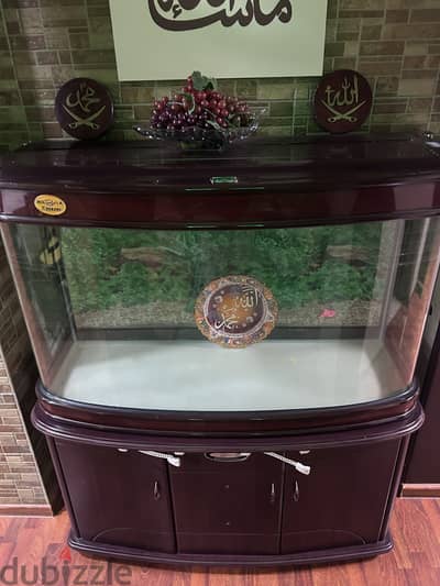 Brand new fish tank