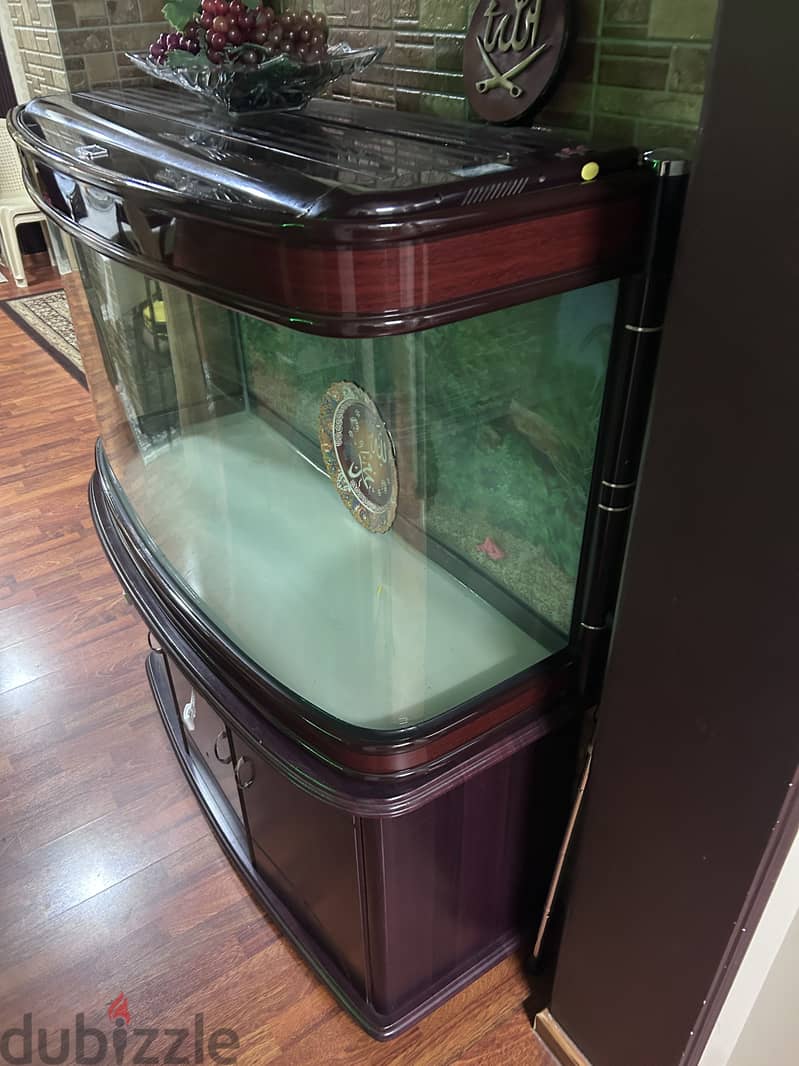 Brand new fish tank 1