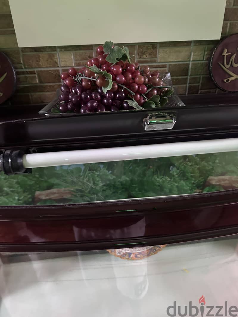 Brand new fish tank 2