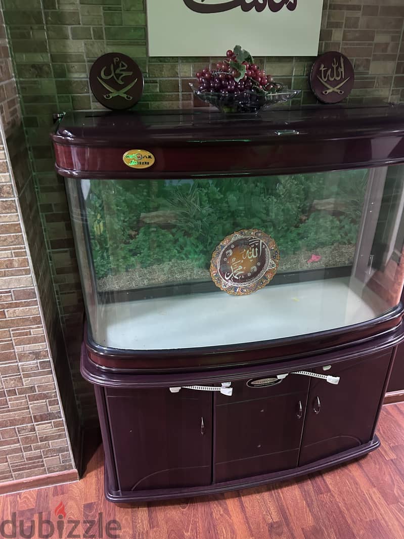 Brand new fish tank 4