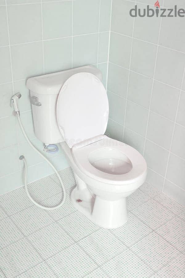 plumber electrician carpenter paint tiles fixing all work home sarives 8