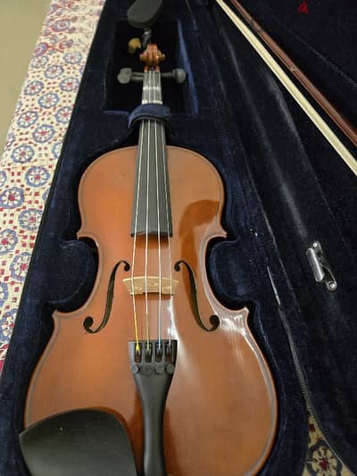 Hofner Violin