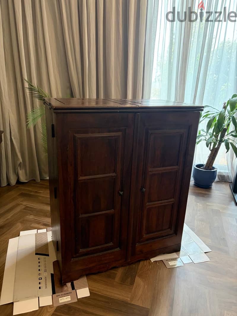 Multi-use Cabinet 1
