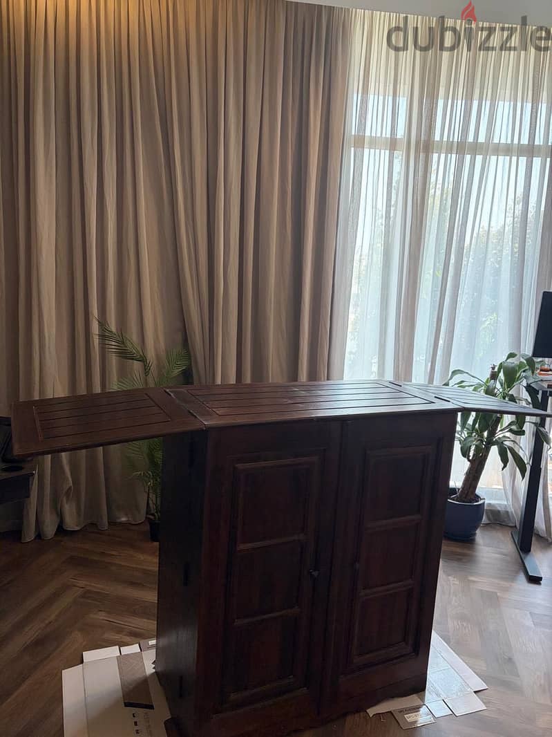 Multi-use Cabinet 2