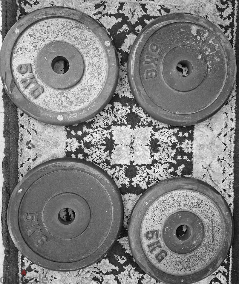 gym plates 1