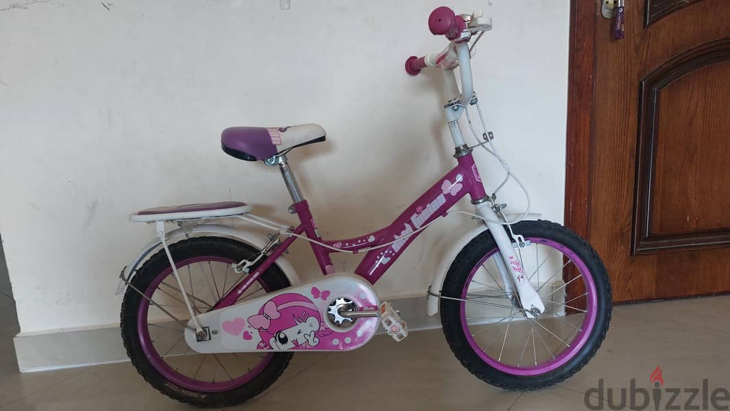 Small bicycle 1