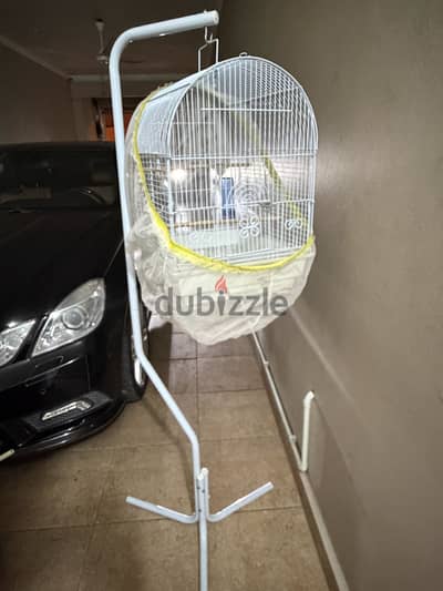 Birds cage