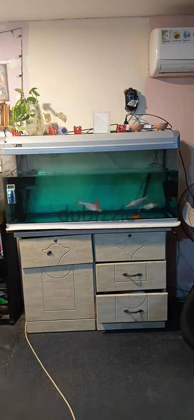Fish tank with cabinet