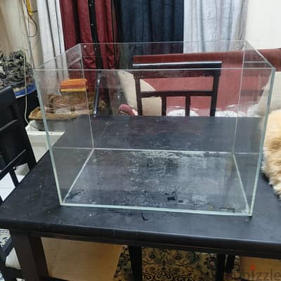 fish tank