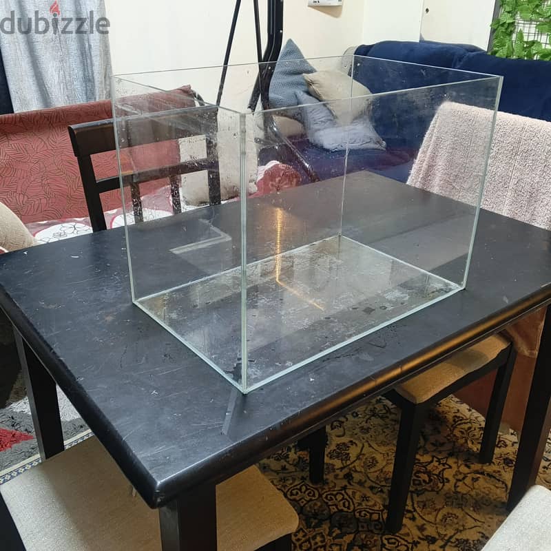 fish tank 1