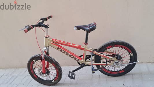 bicycle 20 inch