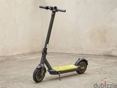 Electric Standing Scooter