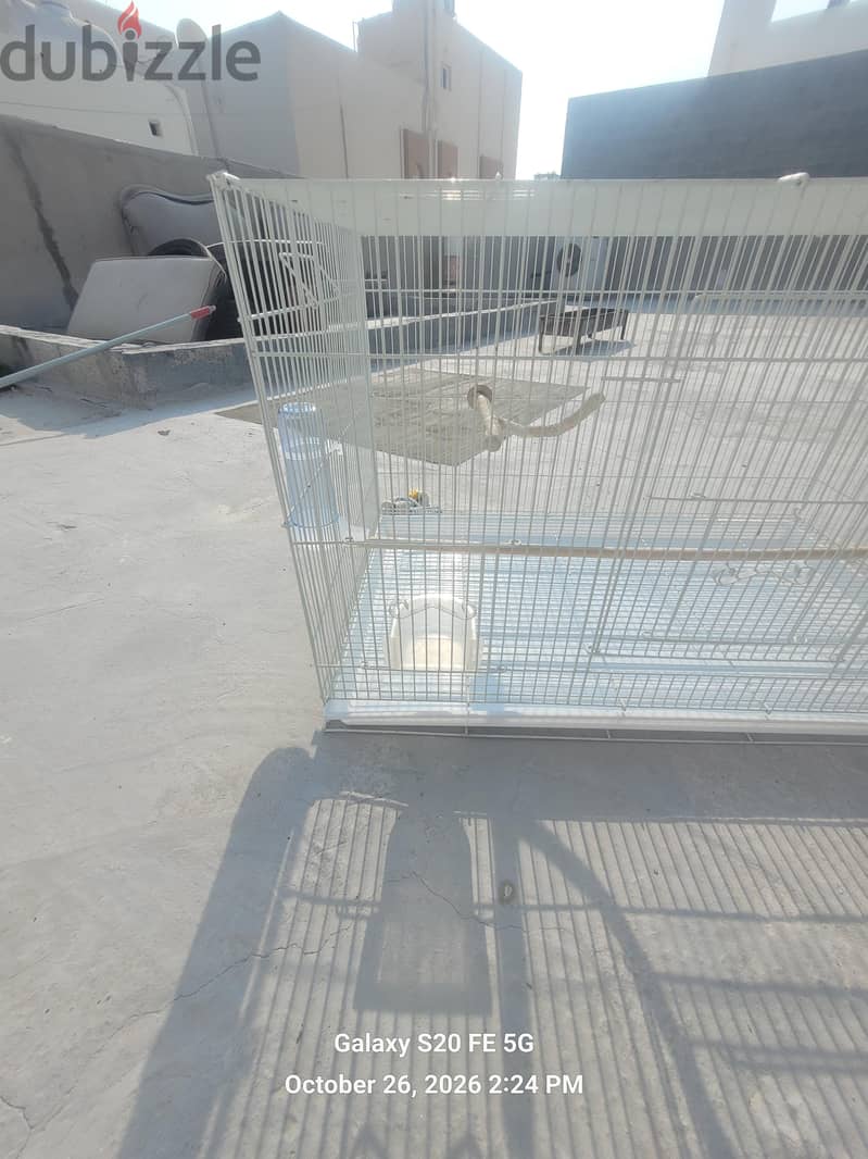large cage with everything you need 1