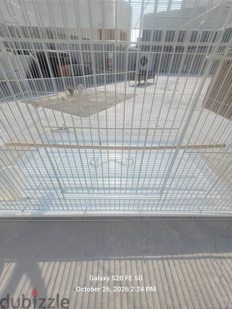 large cage with everything you need 2