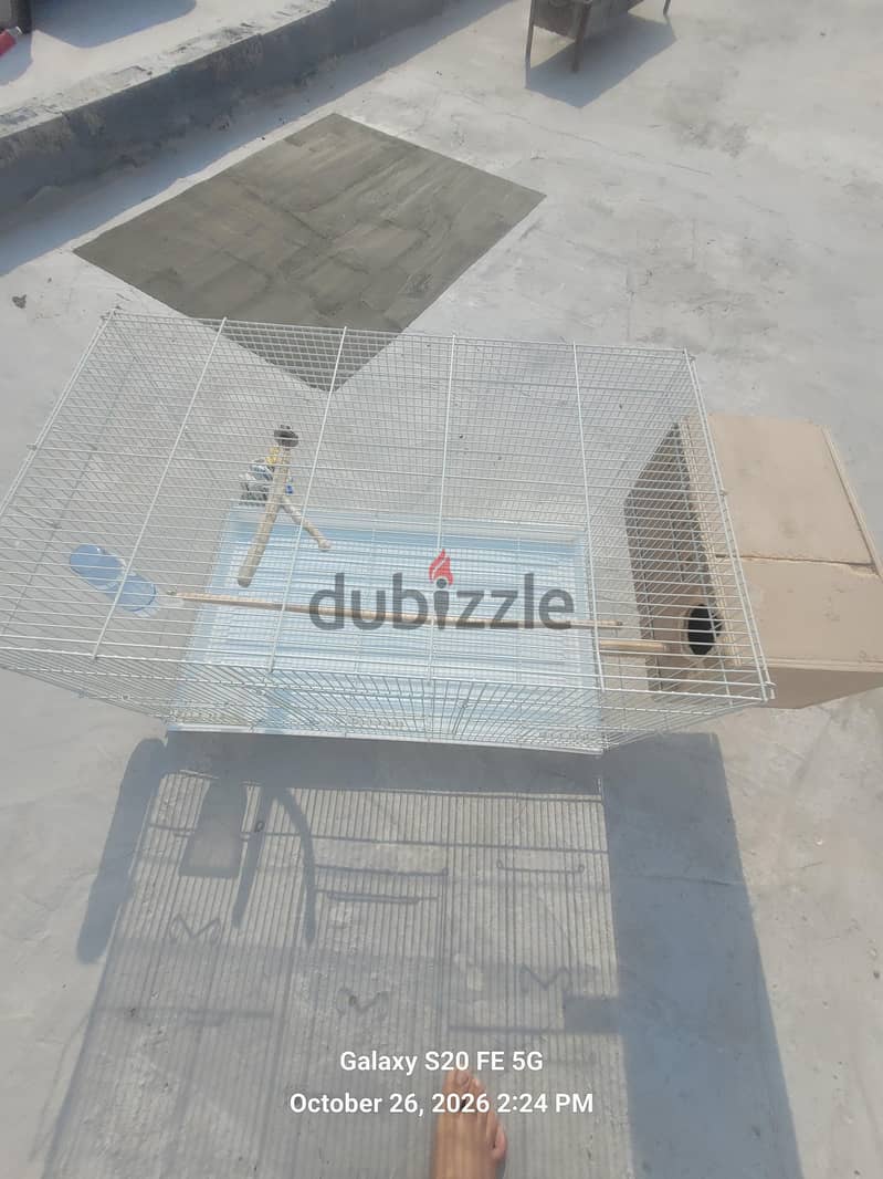 large cage with everything you need 4